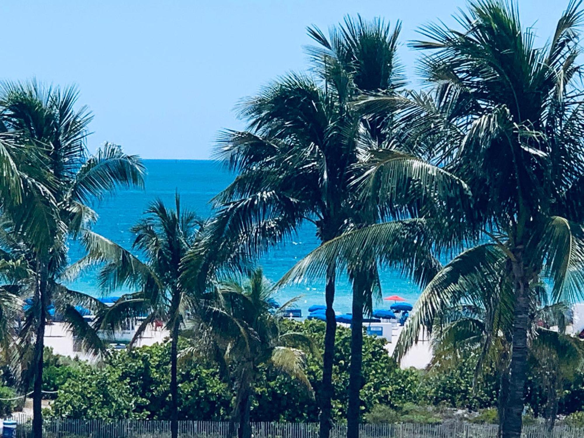 Beachfront Ocean Dr White Sand Paradise Sobe 311 Miami Beach Eksteriør billede